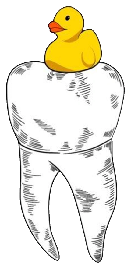Dentist