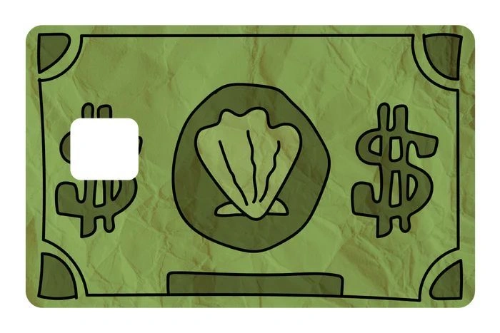Visa skin