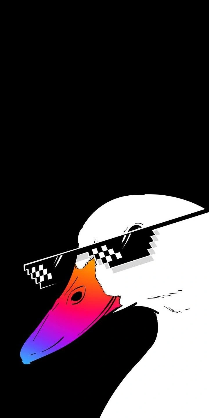 duck