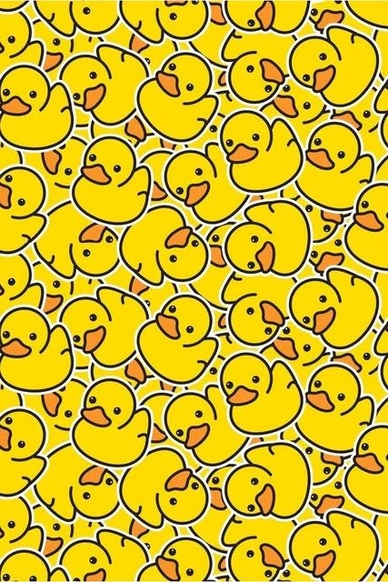 duck