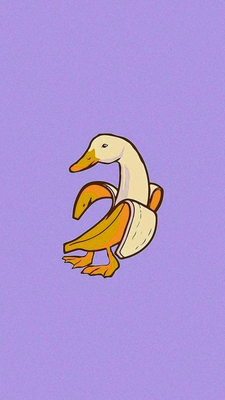 duck
